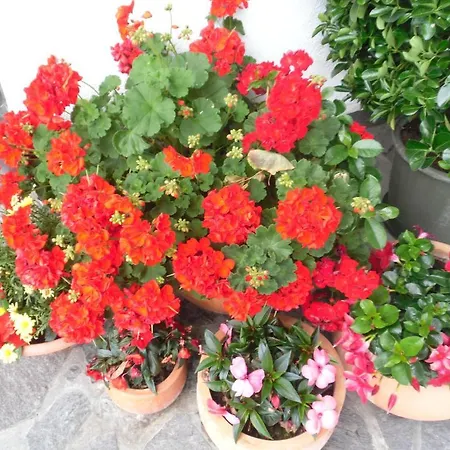 Hébergement de vacances Walchenhof Mayrhofen