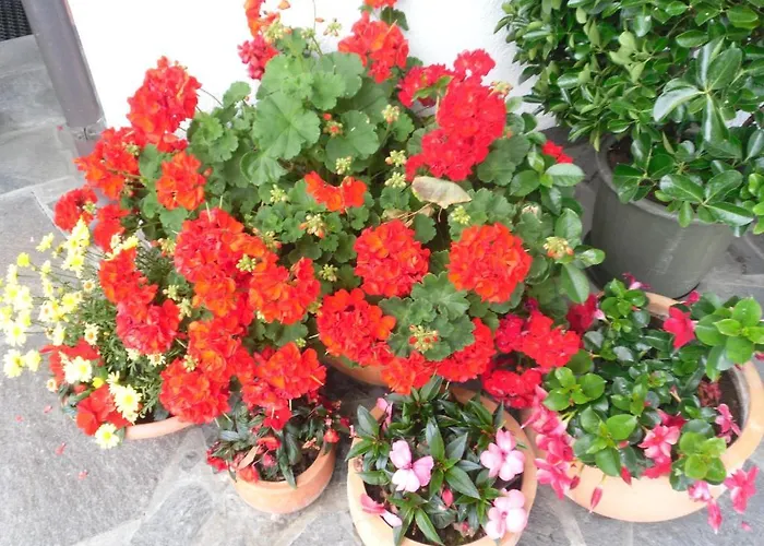 Сasa de vacaciones Walchenhof Mayrhofen